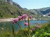 Bel giro ad anello nella zona Laghi Gemelli il 23 luglio 2009- FOTOGALLERY